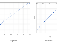 LangmuirとFreundlichプロットの直線性